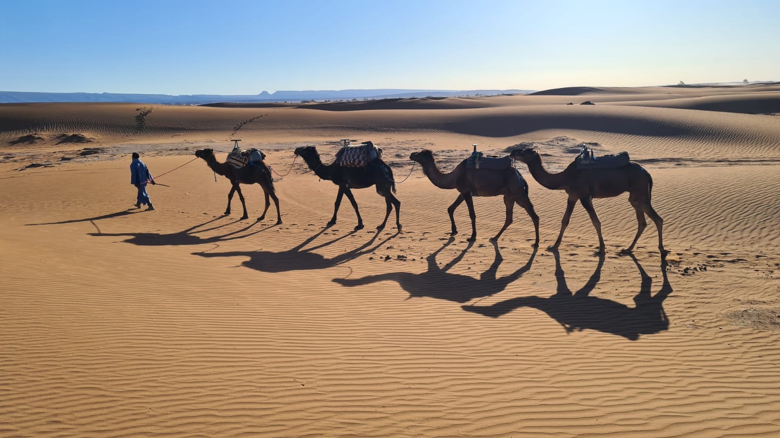 Caravane de dromadaires à Erg Lmhazil