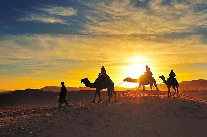 Caravane de dromadaires au coucher du soleil