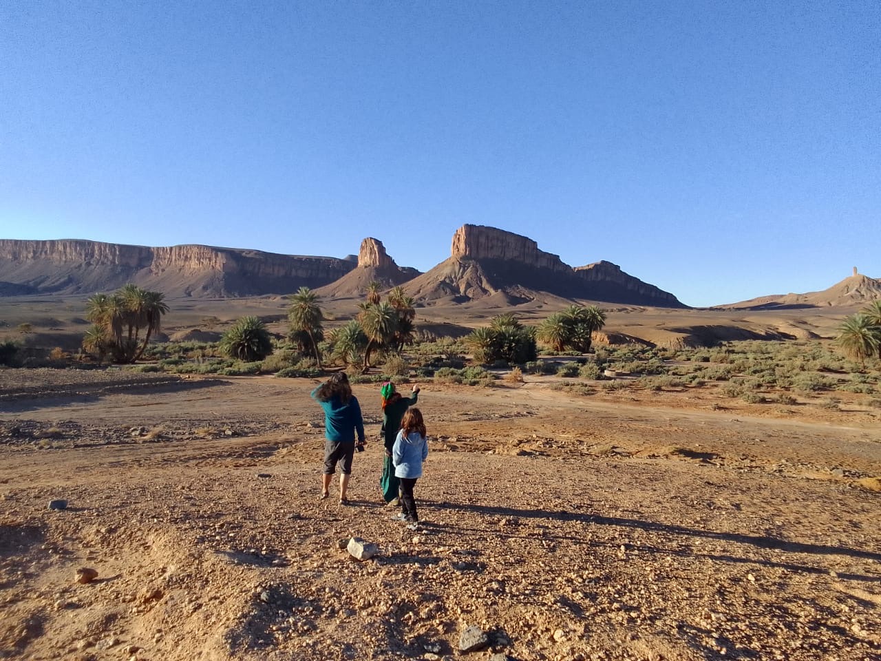 Marche géologique dans le Sahara