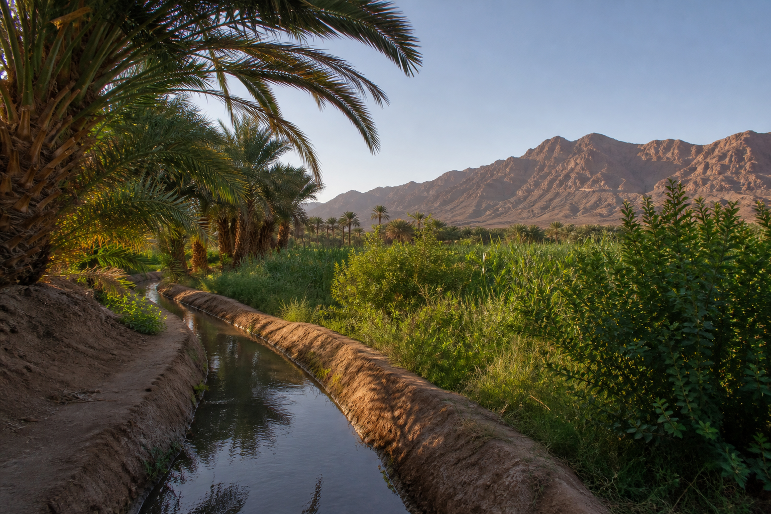 Oasis et paysage désertique de Foum Zguid