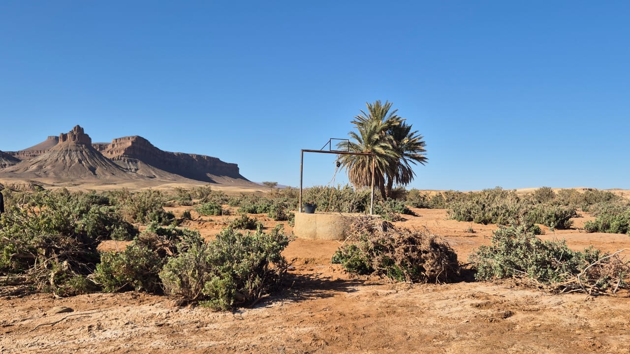Puits dans une oasis du désert