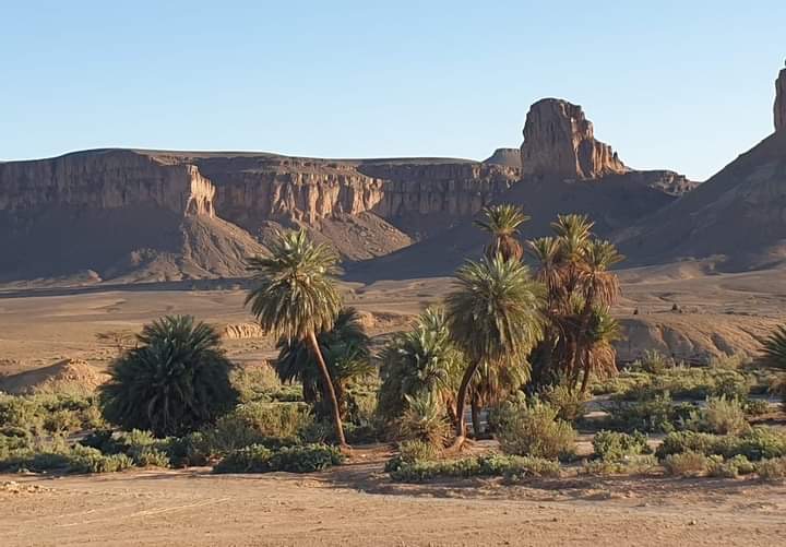 Excursion à l’oasis de Laarjimia